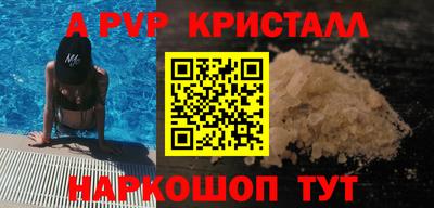 стаф Дубна