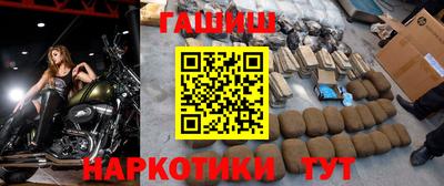 стаф Дубна