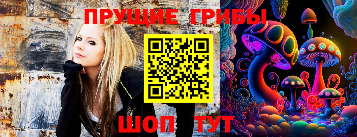 Миасс  Псилоцибиновые грибы Psilocybine cubensis  Вход с VPN 